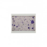 MD Professionnel Mosaique Eyeshadow Click System 4.0g 272
